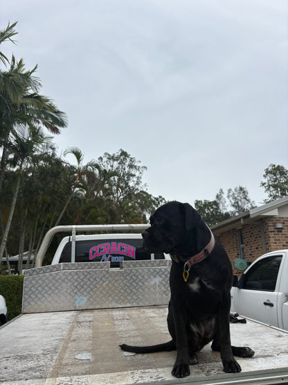 CC Racin Premium Logo Sticker (Large)